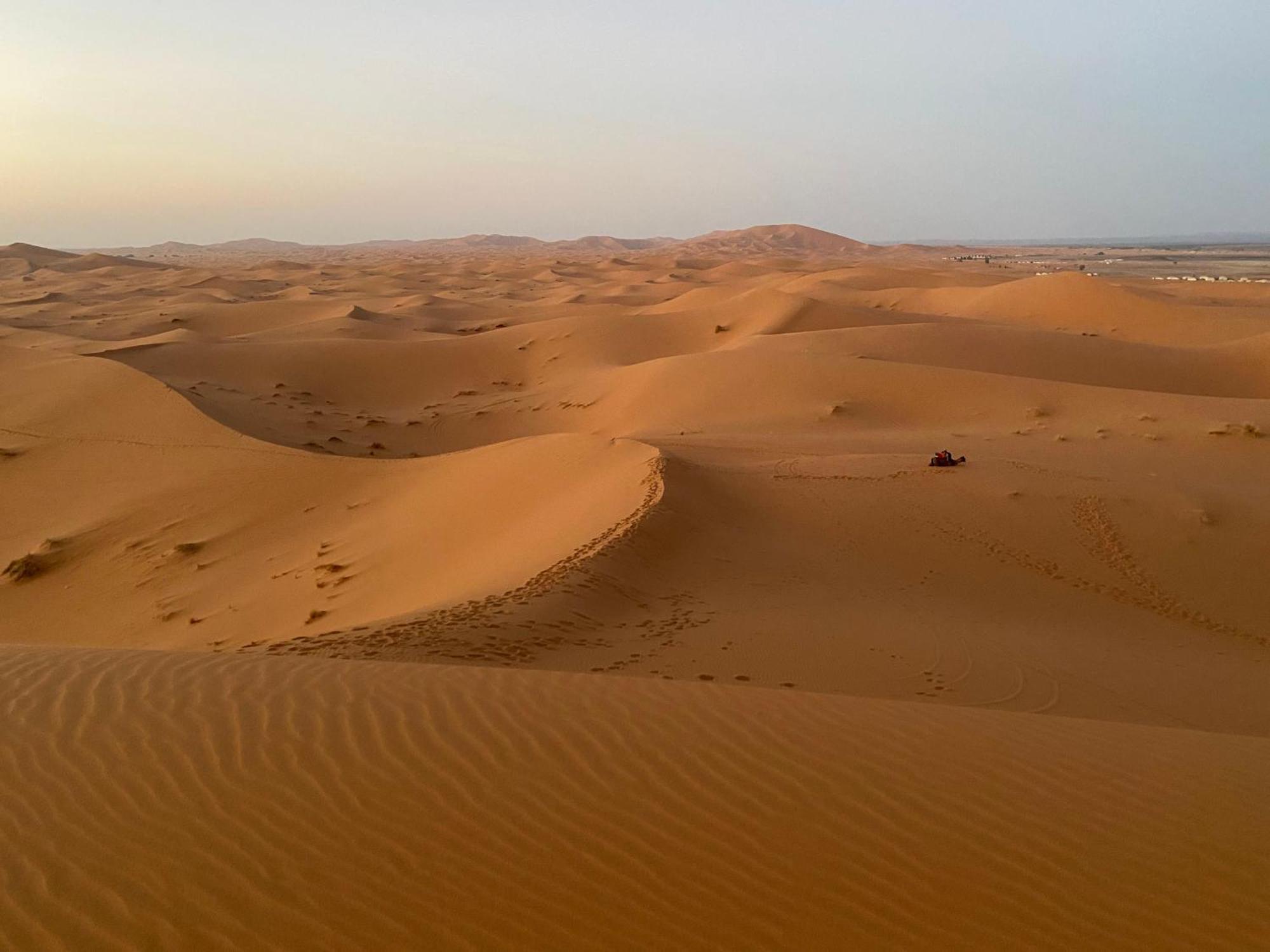 Moonlight Desert Camp 5*
