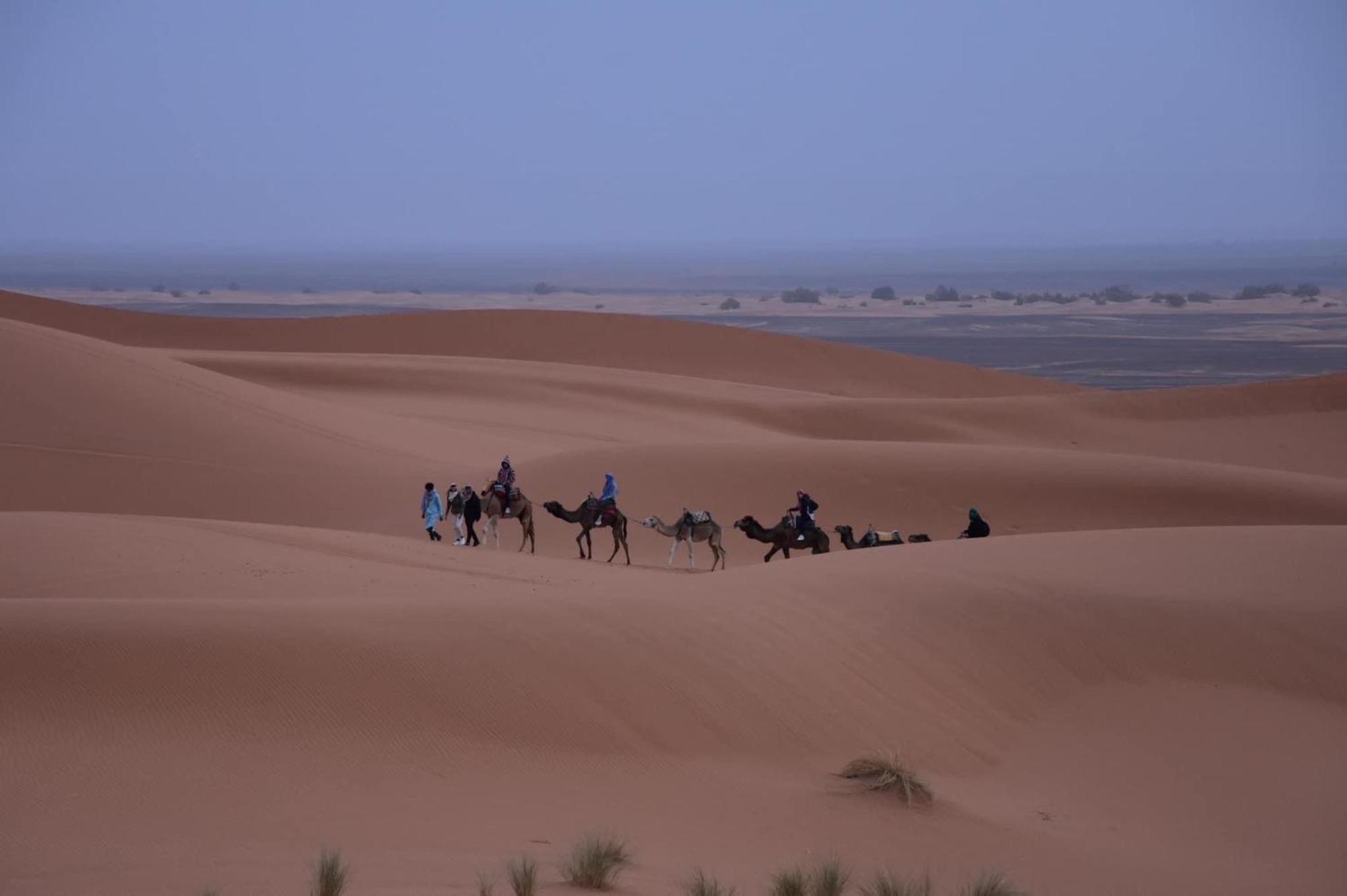 Luxury tent Moonlight Desert Camp 5*