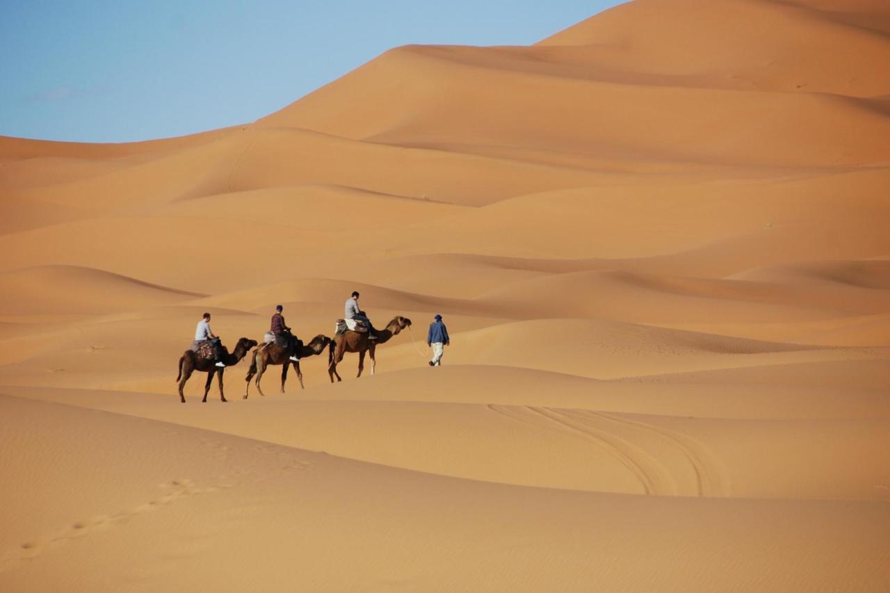 Moonlight Desert Camp